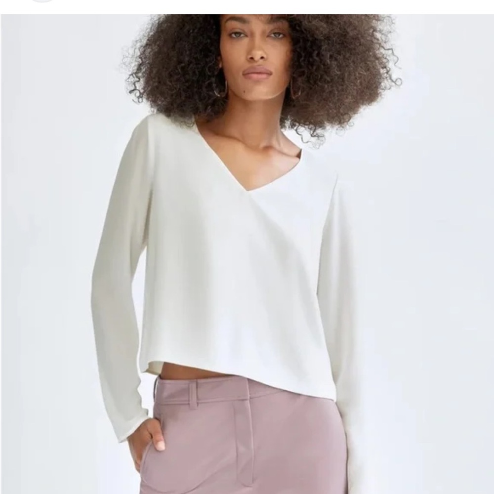 Aritzia Babton Long Sleeve Blouse (Size XS)